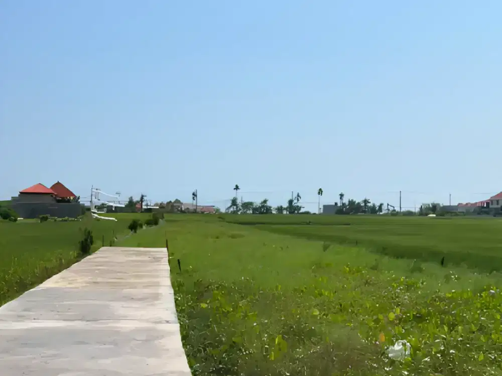 FOR LEASE 24 Years a 400 sqm / 4 are Land Near Seseh Beach and Cemagi Beach (25 Million a Year an Are)