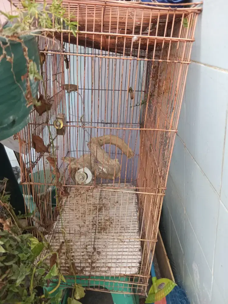 Kandang burung ukuran sedang