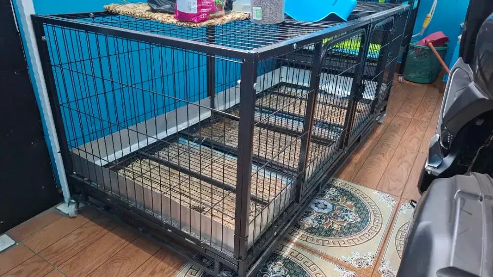 Kandang kucing, kelinci atau anjing