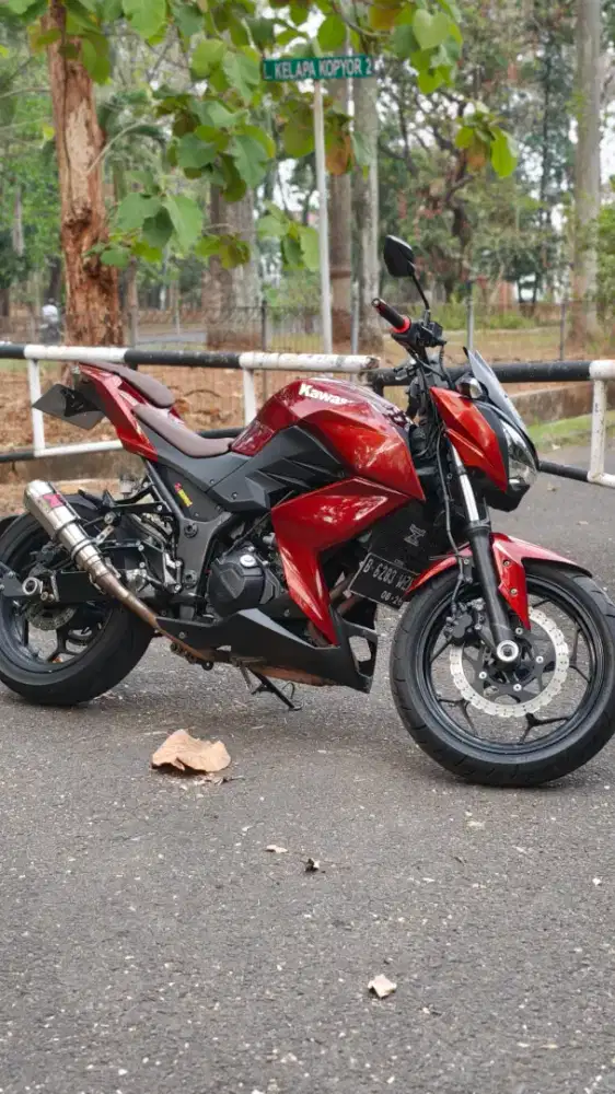 Kawasaki Z250 2013