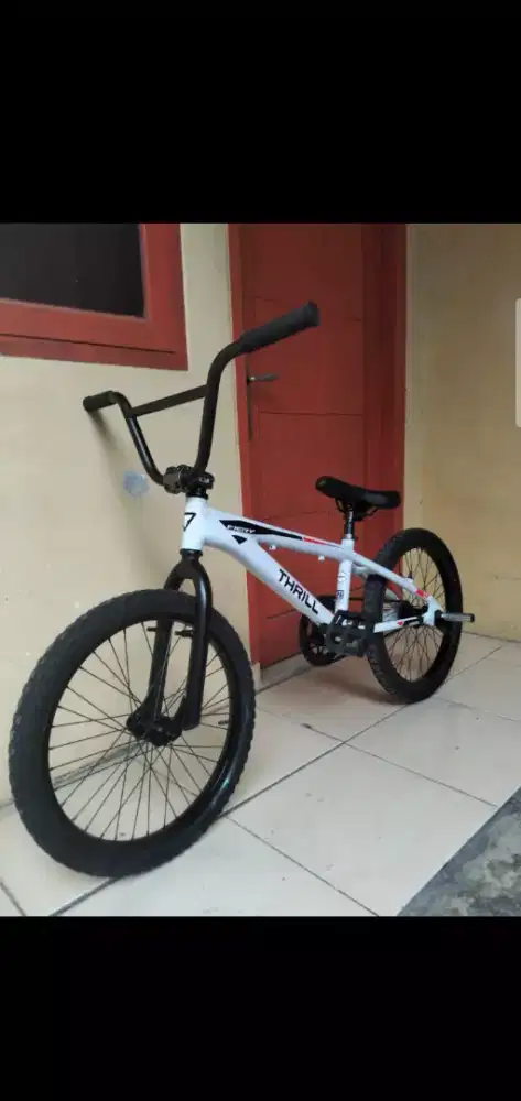BMX 20 ALLOY TORPEDO