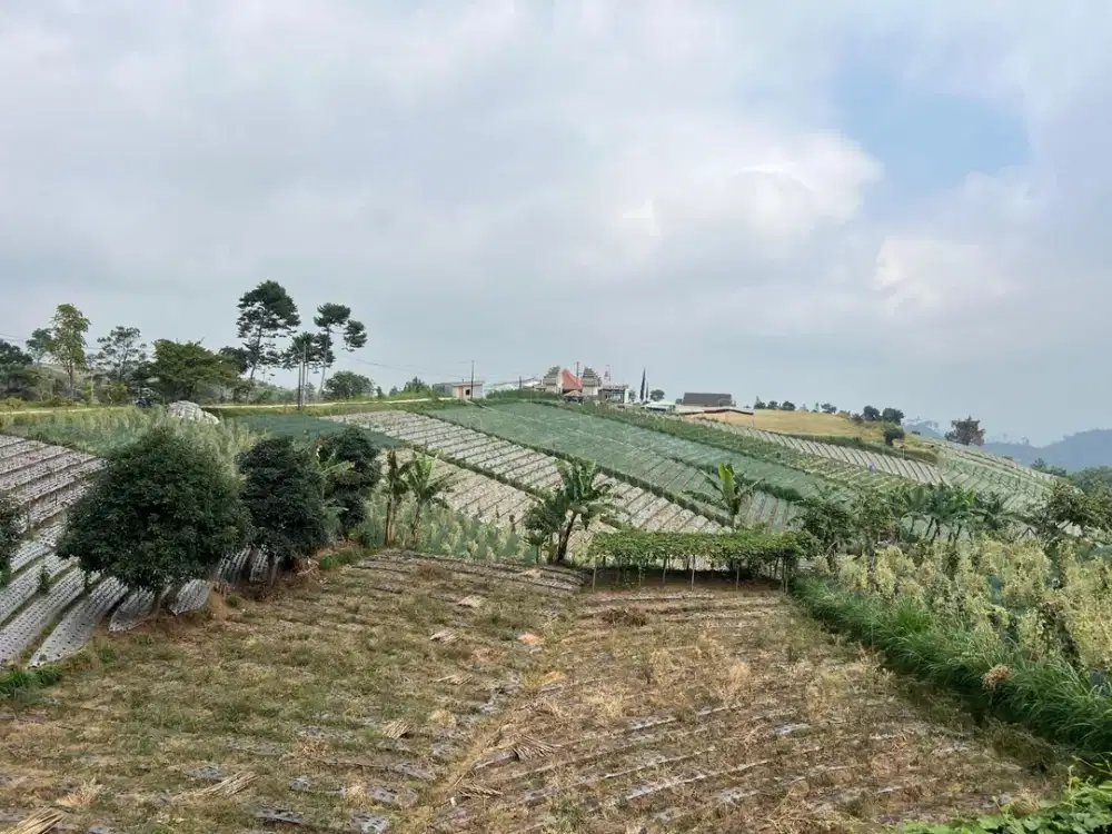 Tanah View Super Cantik Hanya 1 Miliar ~ Ngargoyoso, Karanganyar