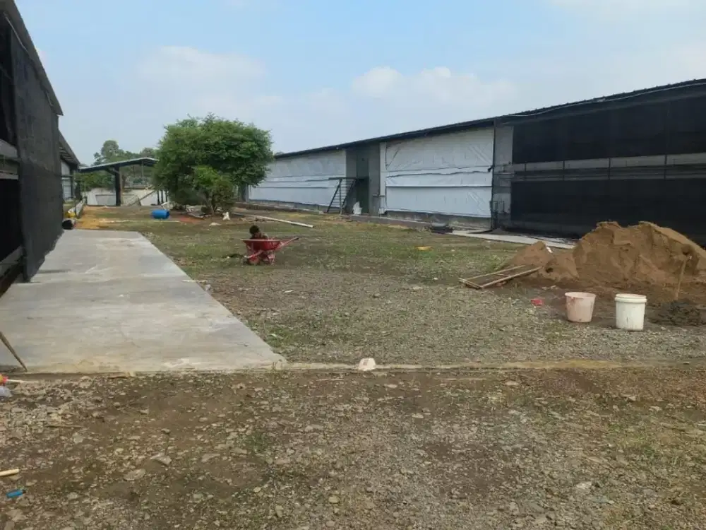 Dijual Tanah Subang [ID 854]