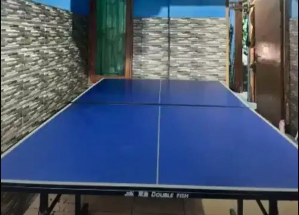 Tennis Meja Double Fish