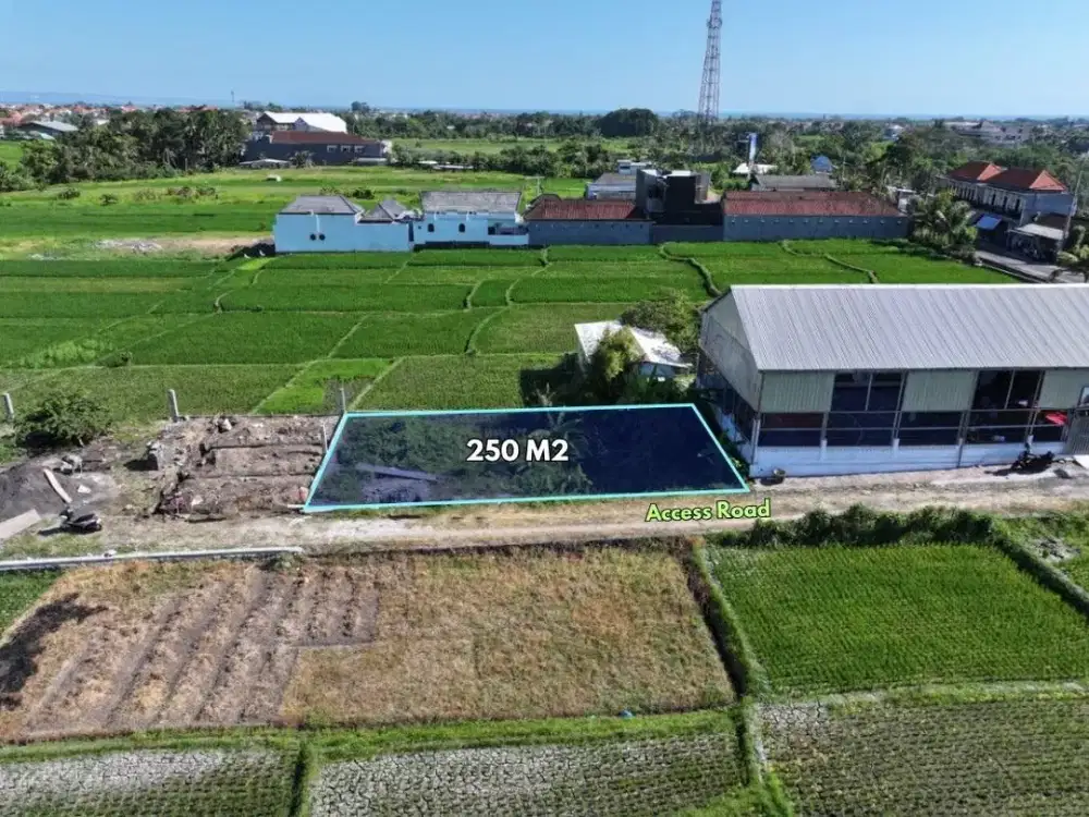 250 sqm Land for Lease in Buwit, Tabanan – Rice Field View