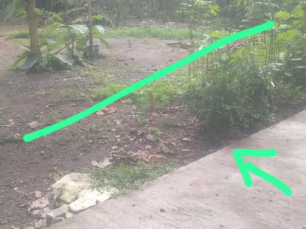 Tanah Pekarangan Luas Murah di Srandakan Bantul#Kode : TP 137