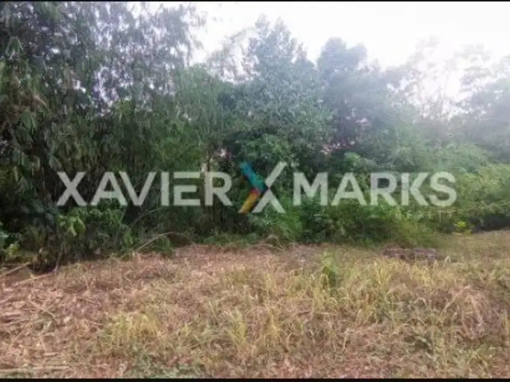 Dijual kavling siap bangun di Jatirejo Gunungpati