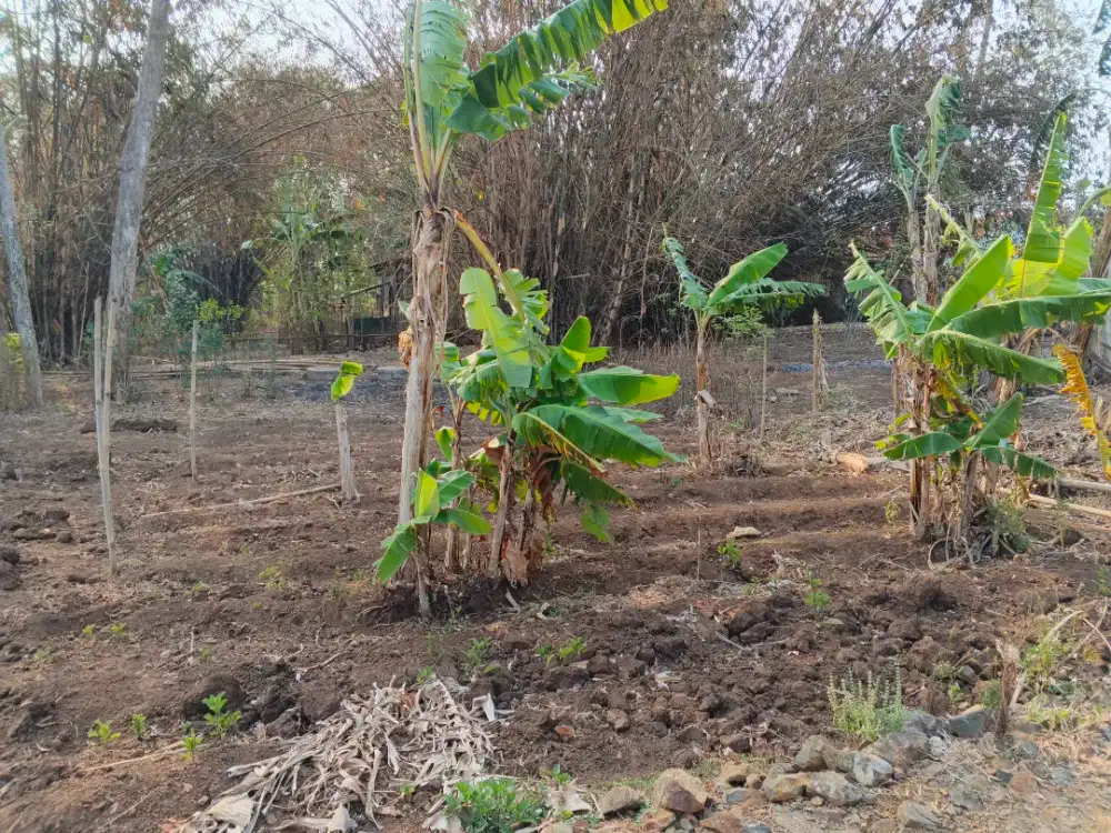 Dijual Tanpa Perantara