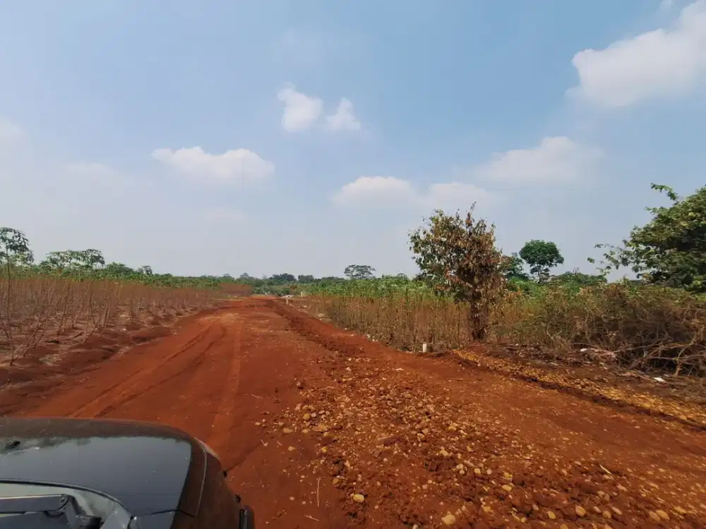 Tanah Kavling 100Jtan Dalam Area Perumahan Cocok Invest/Hunian - SHM - 10 Menit Stasiun Bojong Gede