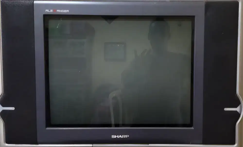 TV analog SHARP Aleksander 21 inc