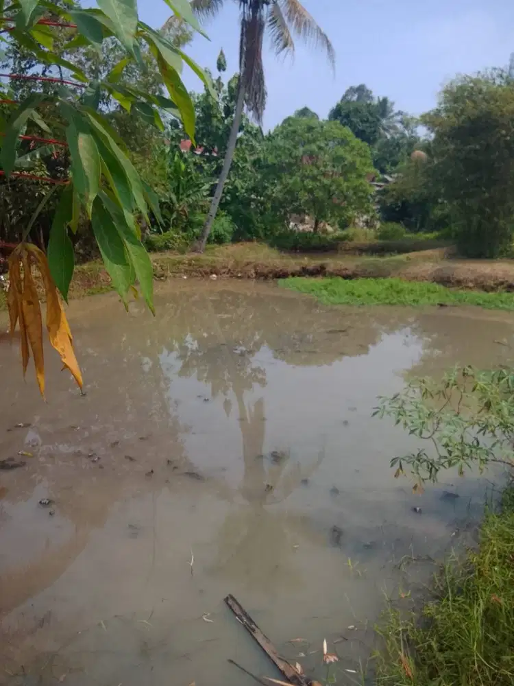 Dijual 4 Bidang Tanah Pabuaran - Bogor