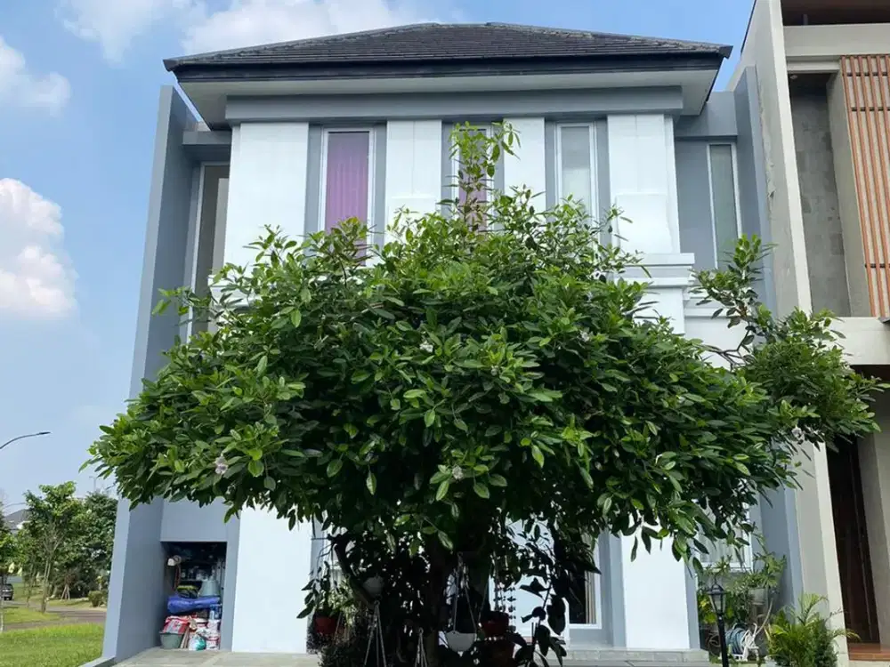 Rumah Cantik The Eminent BSD  Cluster Vivacia - Full Renovasi
