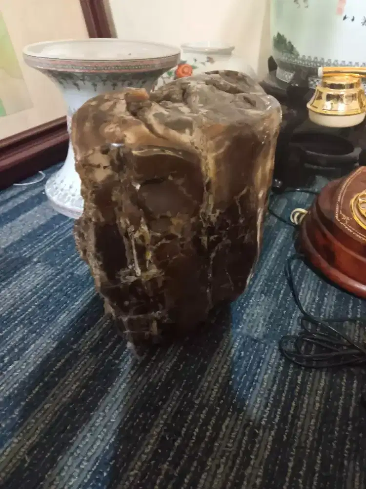 Batu fosil galih kelor