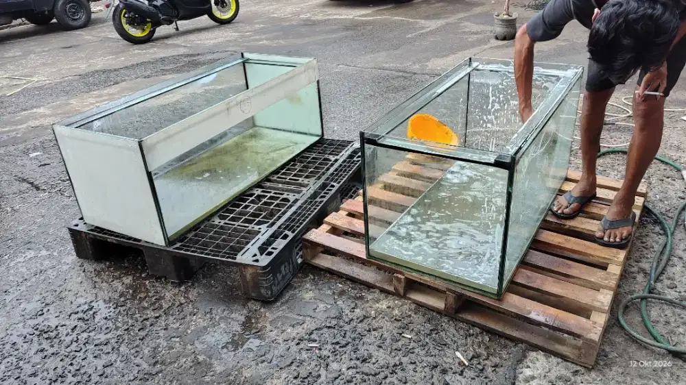 Aquarium besar borong semua