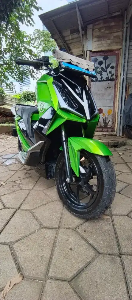 Di jual alva cervo 2023