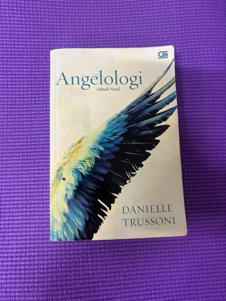 Novel Angelologi