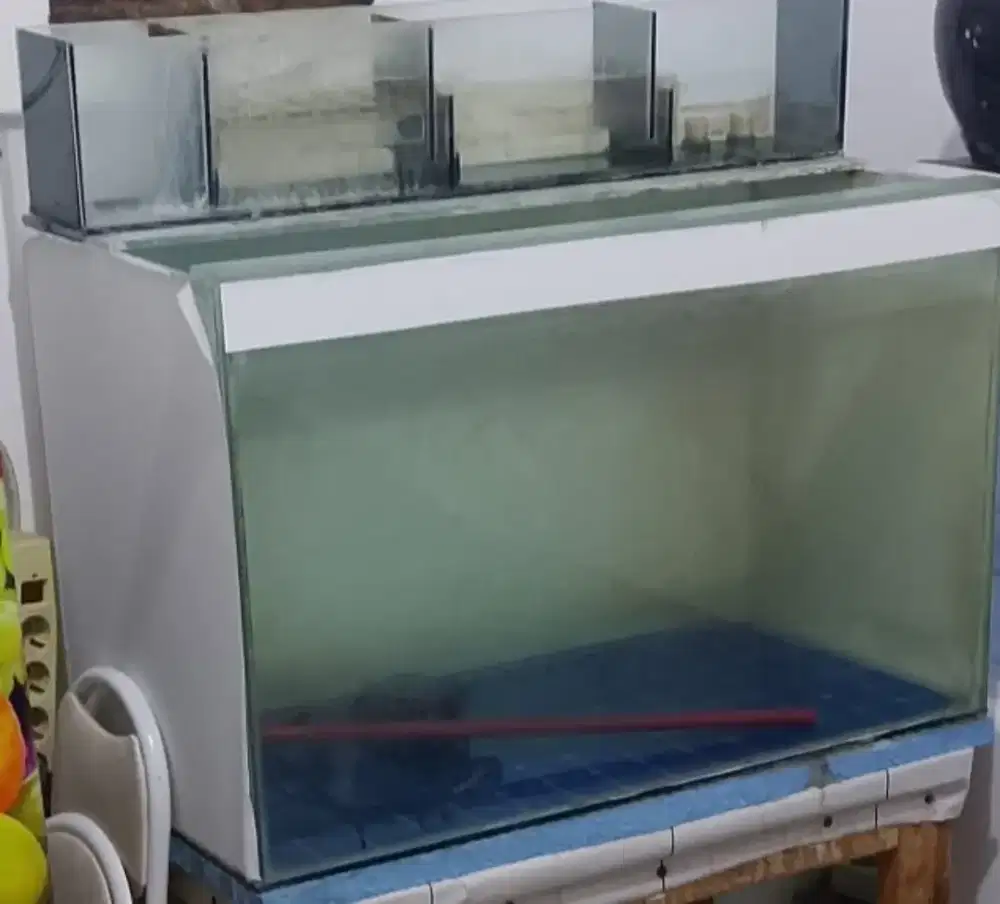 Aquarium akuarium + talang