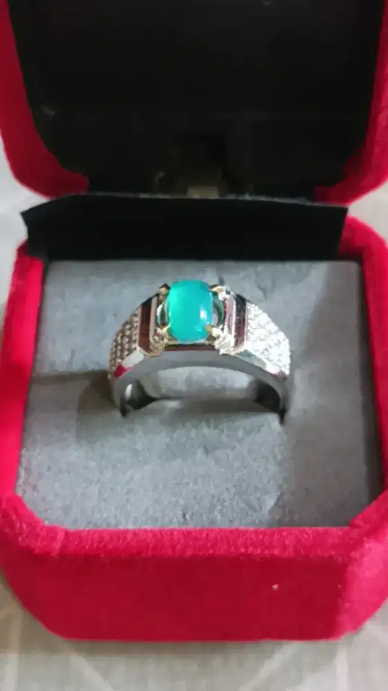 Bacan hijau giwang