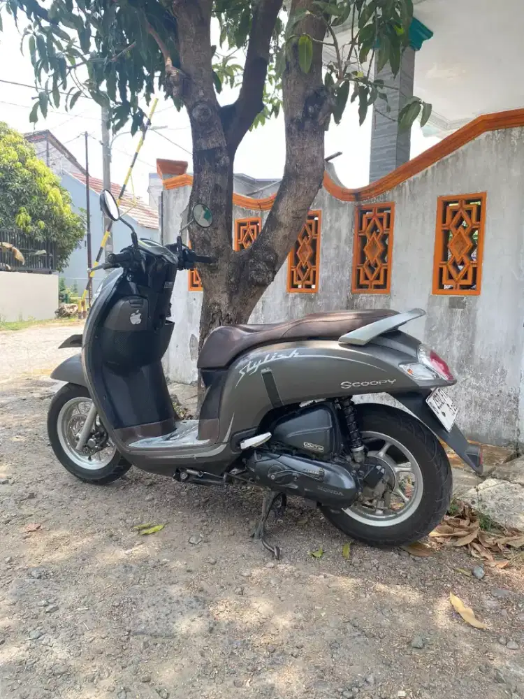 Scoopy ban donat