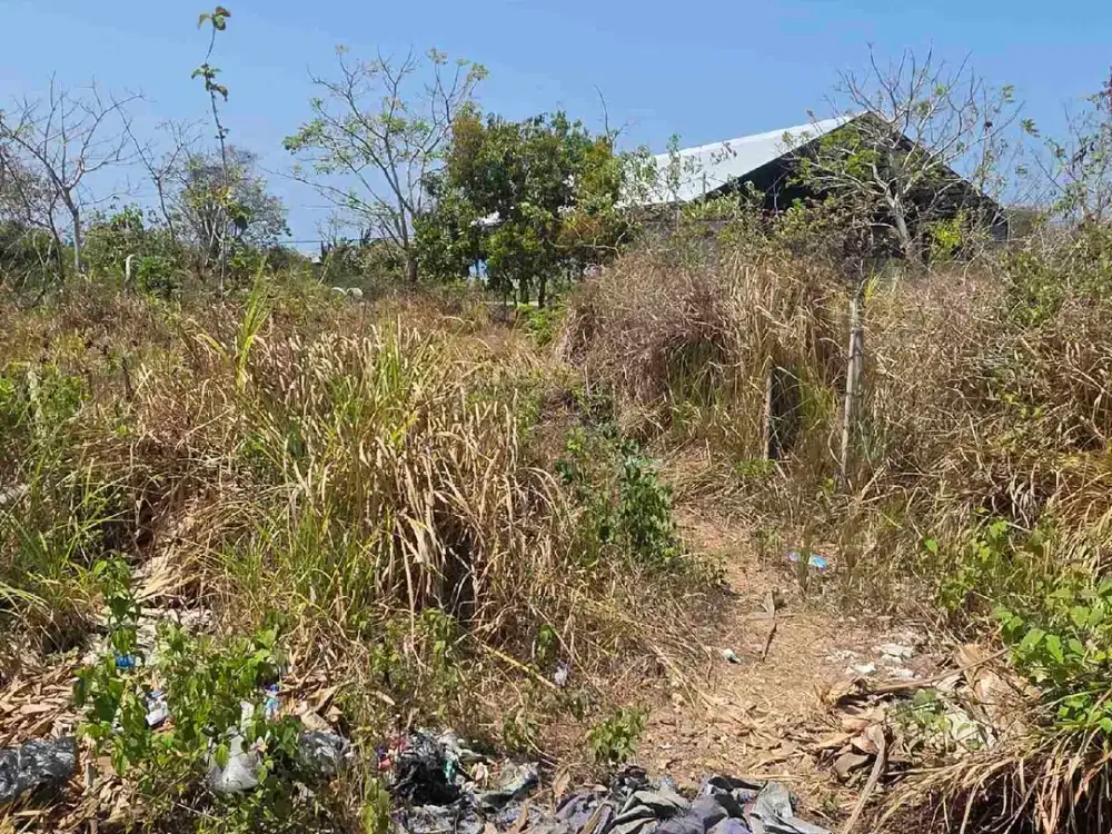 Jual Cepat Tanah Luas 1.5are/150m² Lokasi Jl Gunung Payung , Dharmawangsa Kuta selatan Bali, Zona Kuning