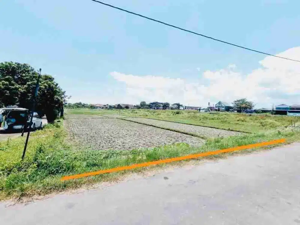 Tanah Sawah Luas 5.050m² di Klaten