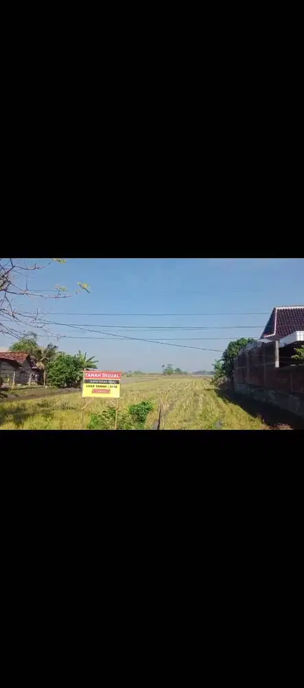 Dijual Tanah Sawah Aktif Pinggir Jalan