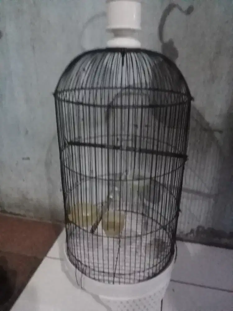 Jual kandang atau TT SM kandang kotaj
