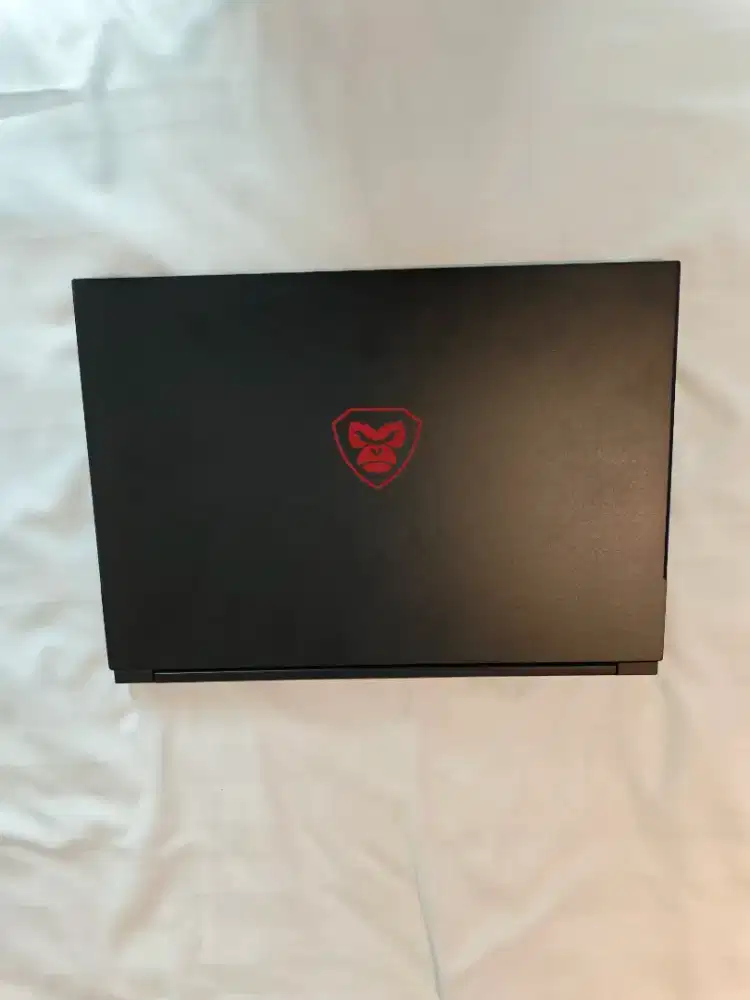Axioo Pongo 765 Ryzen