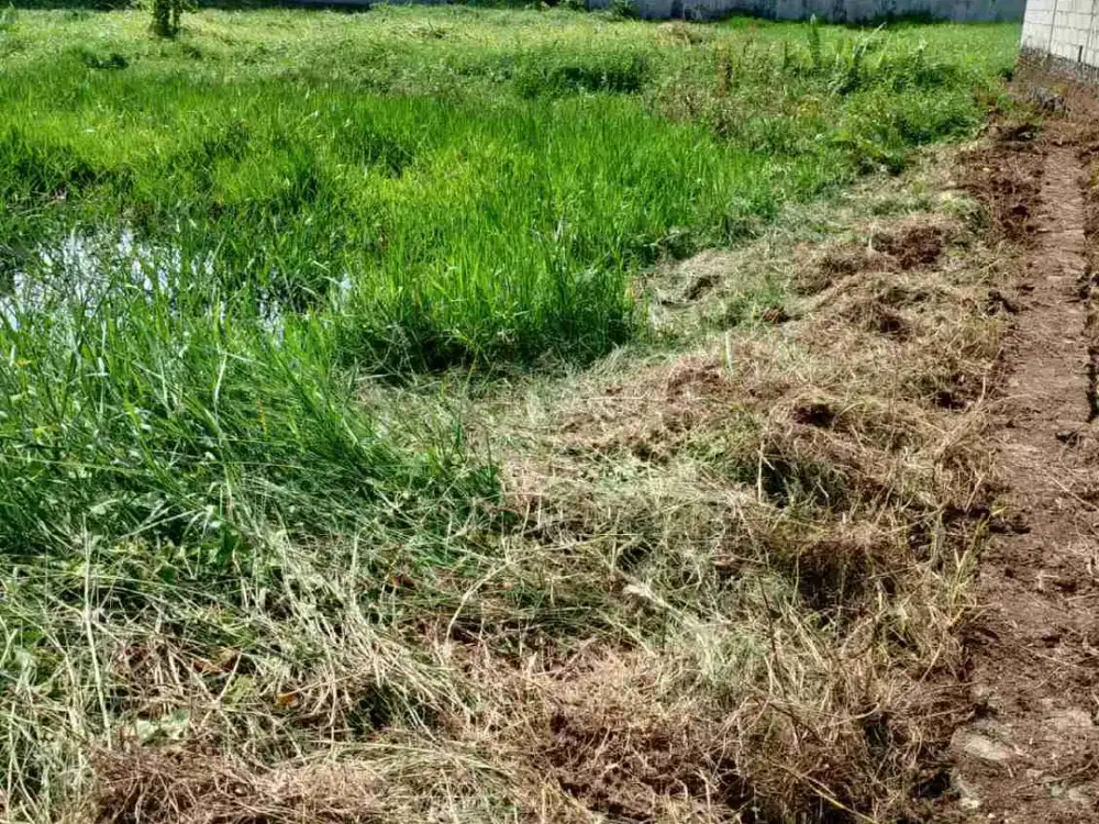 tanah depan RSUD propinsi banten kota serang banten