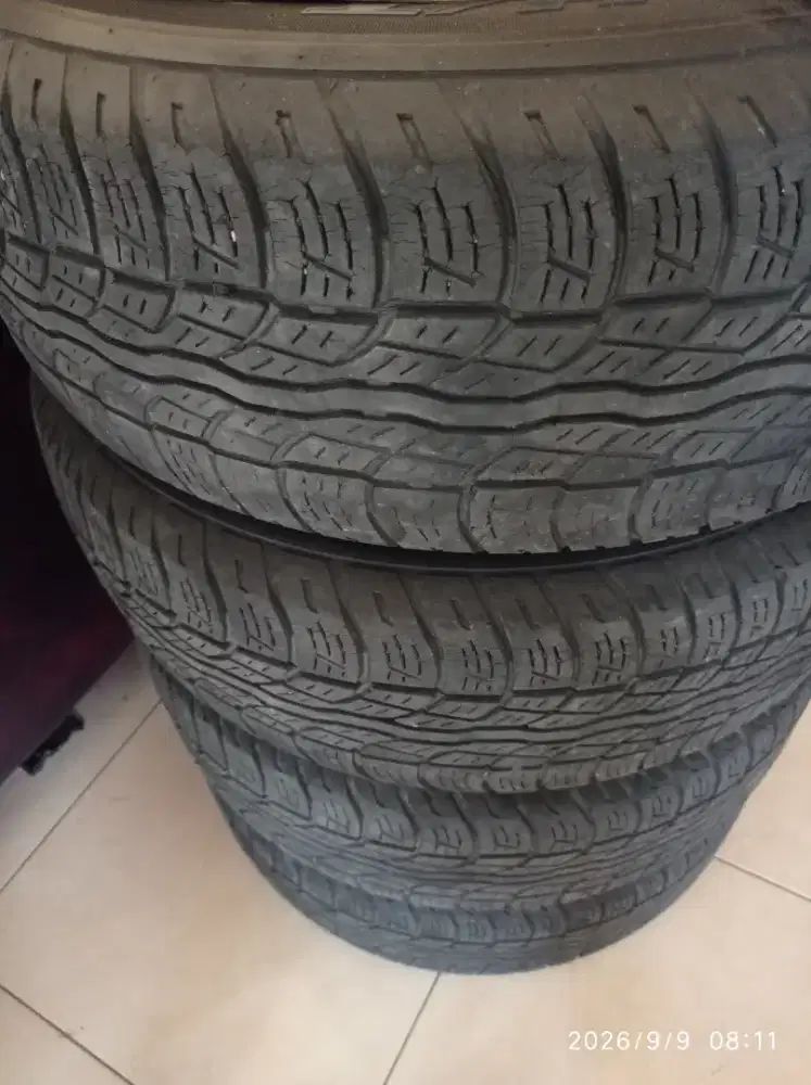 Ban Bridgestone Dueler