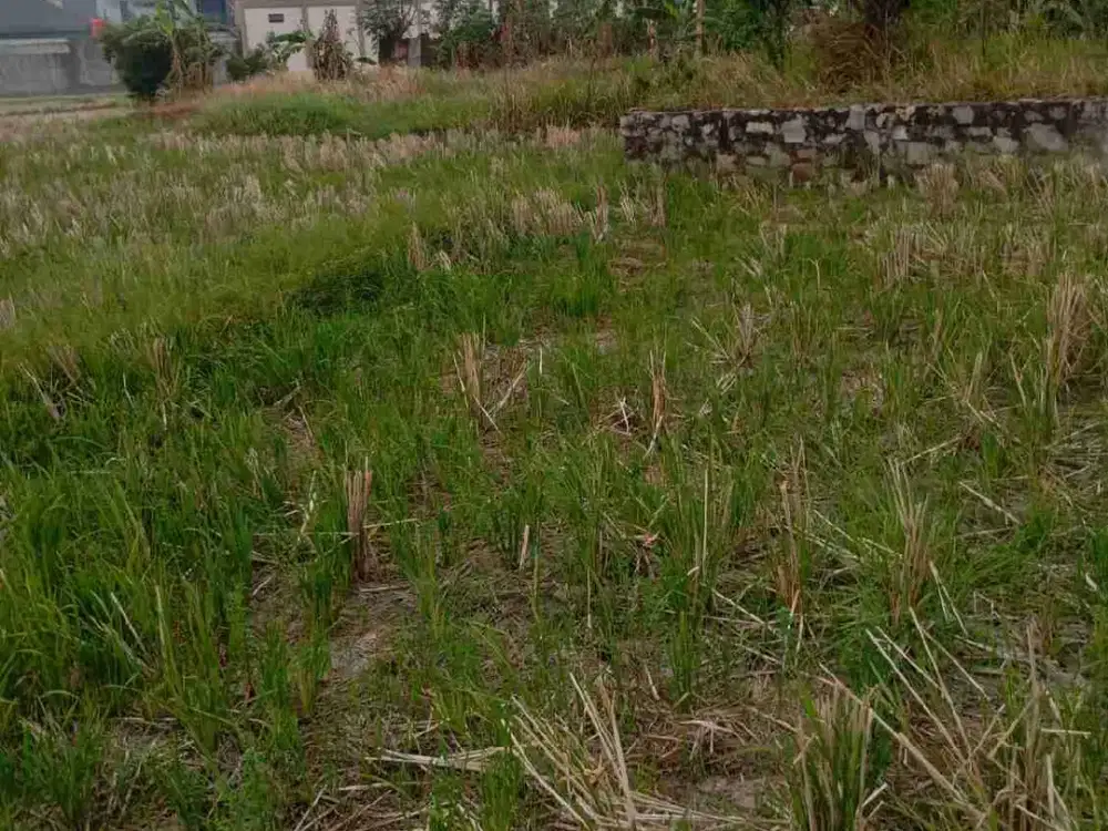 Tanah Kosong Tanjung Senang Bandar Lampung