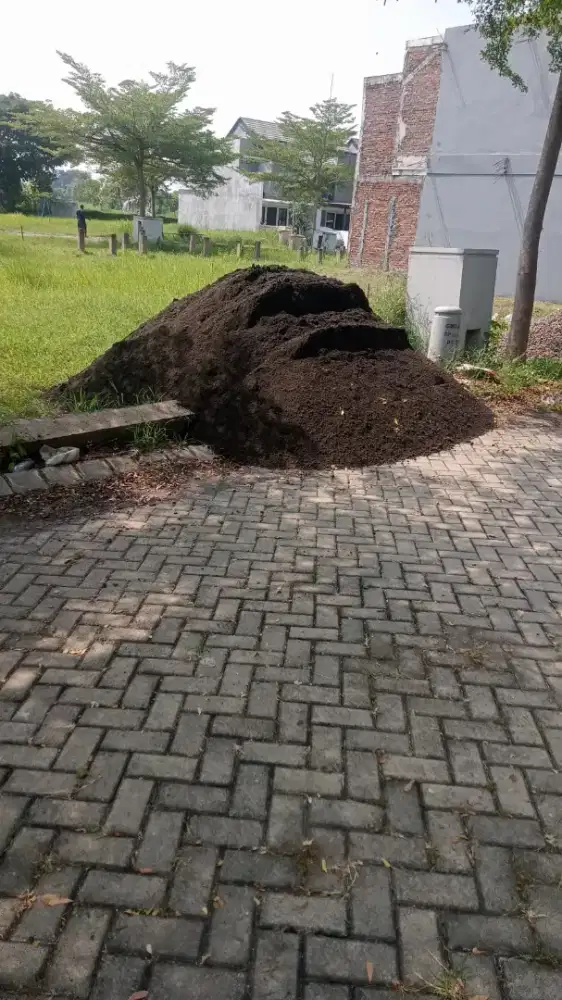 Lumajang Super Asli Tambang