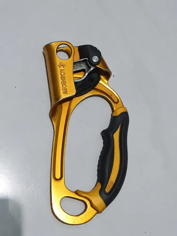 Ascension petzl