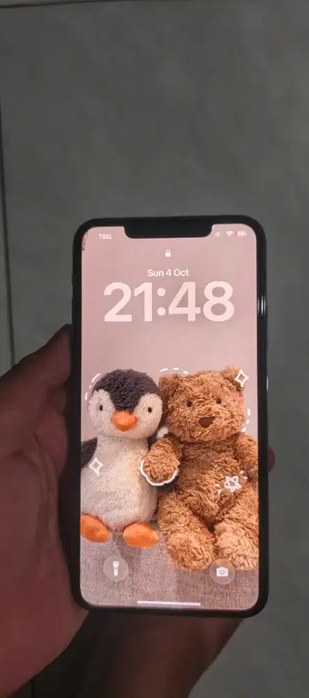 Iphone 11 promax 512gb