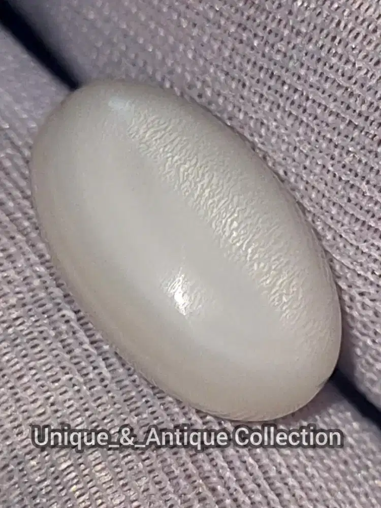 Mutiara Kima Clam Bia Garu Cat Eye Pearl Alam Laut Kolektor Mustika