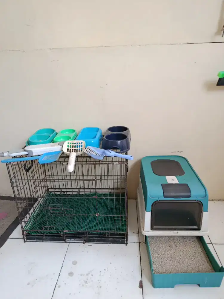Perlengkapan kucing