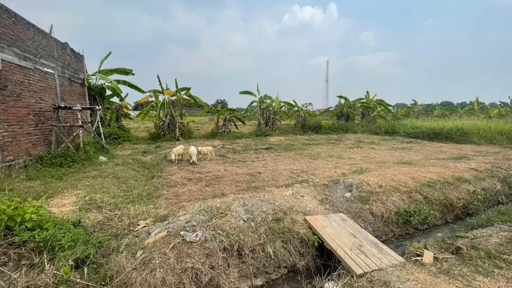 Tanah dijual BU segera