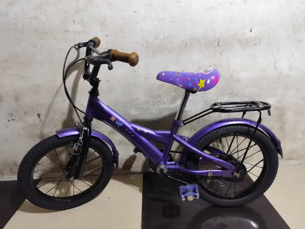 Sepeda ukuran 16 siap pakai