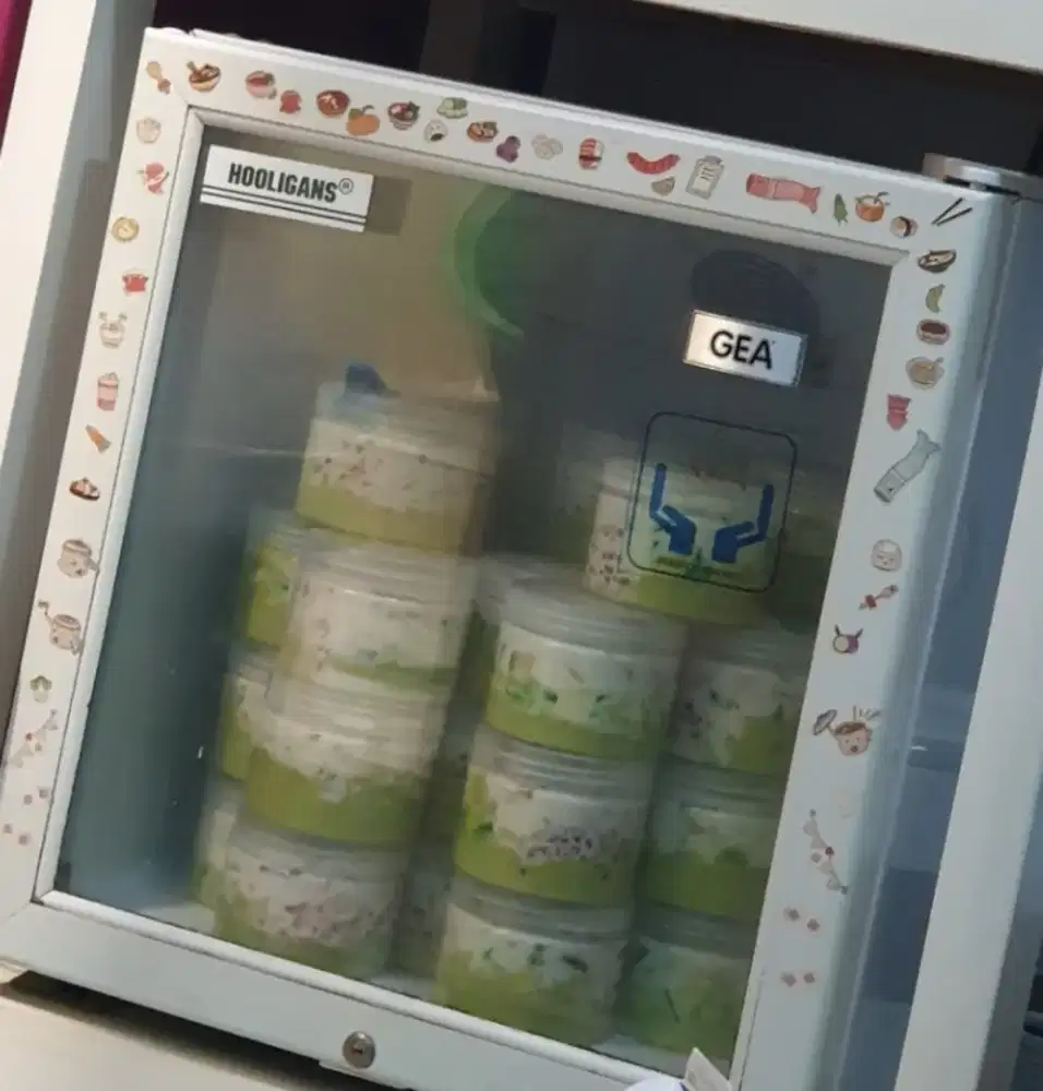 Kulkas Mini Chiller Mini Gea