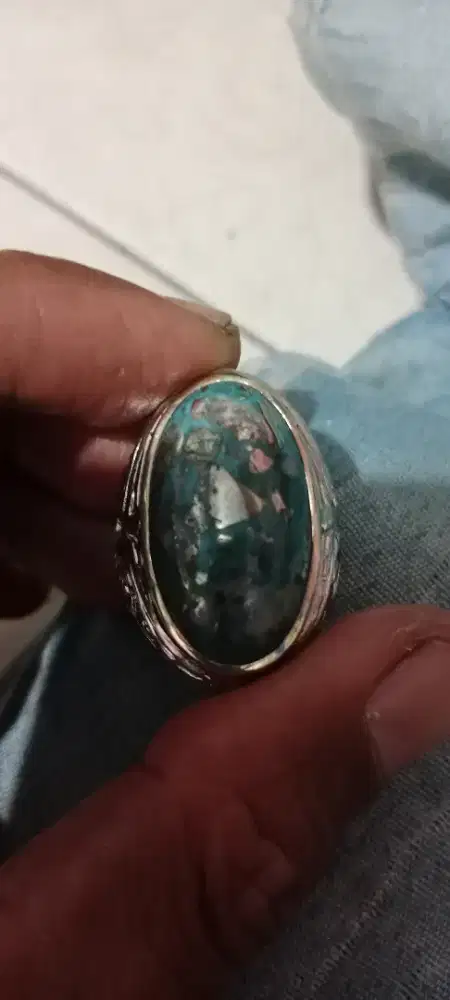 Pirus persia badar perak