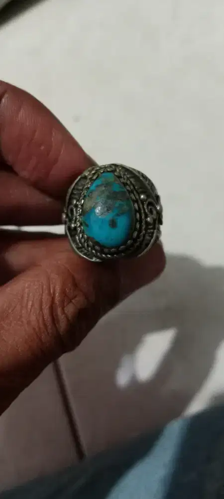 Pirus persia badar perak