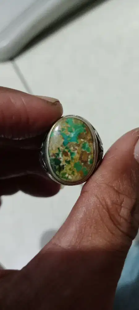 Pirus persia Urat emas
