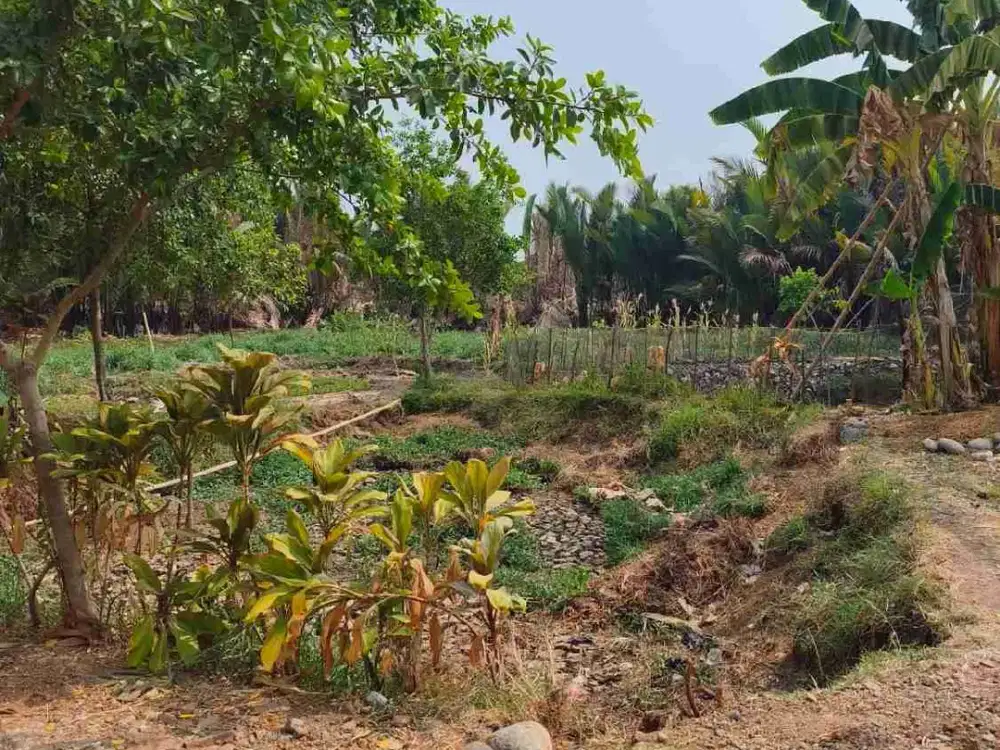 DIJUAL TANAH DEKAT KAMPUS UNHAS TAMALANREA