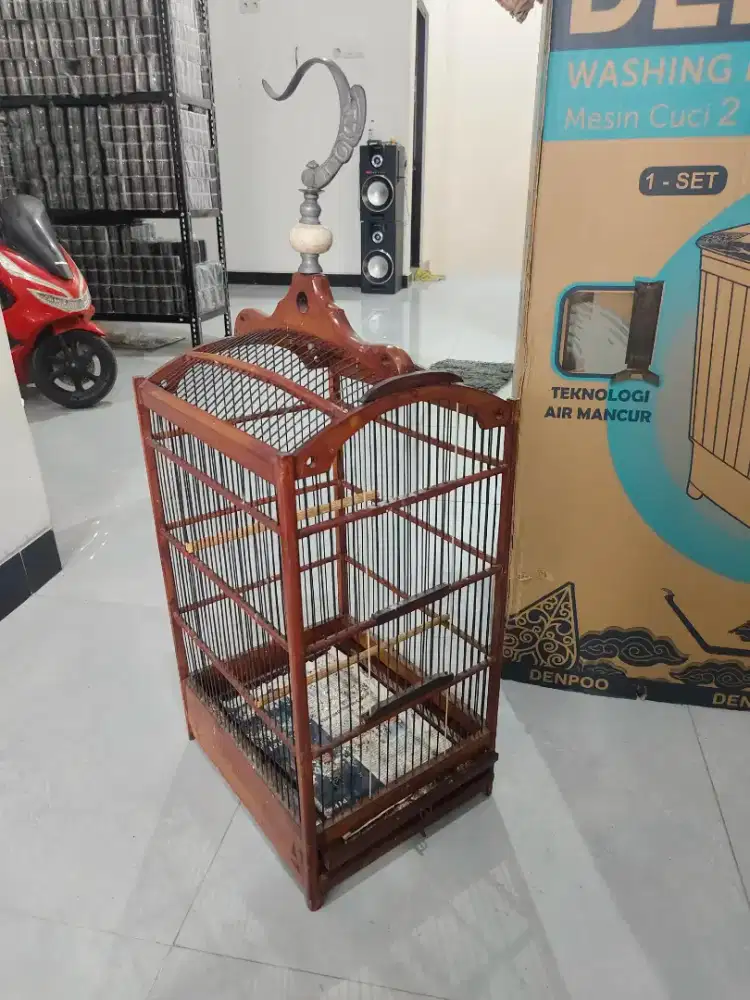Sangkar jati burcil 27x33