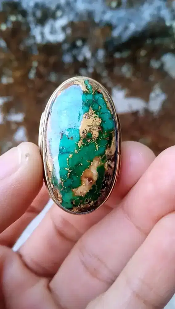 PIRUS PERSIA URAT MAS JUMBO