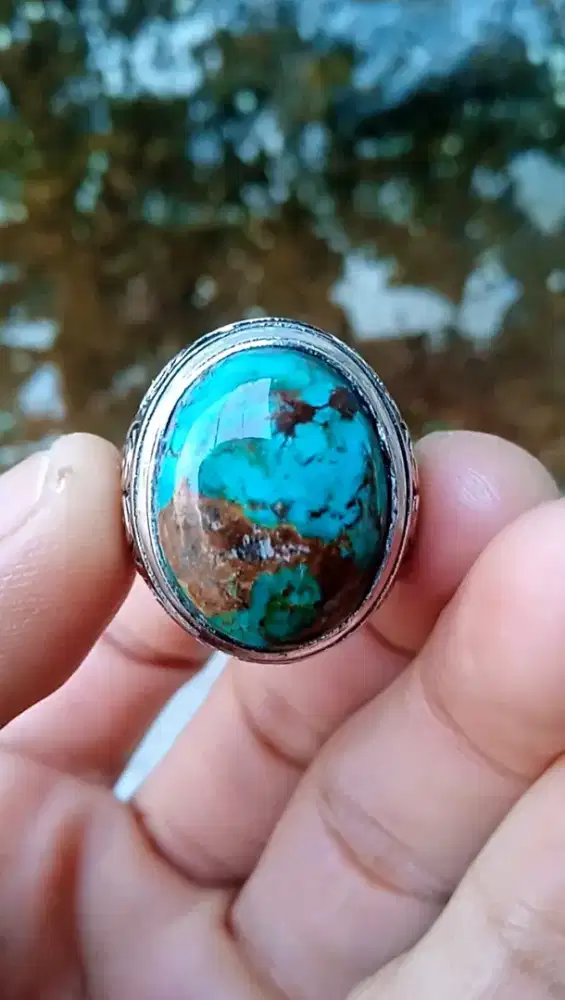 PIRUS PERSIA JADUL