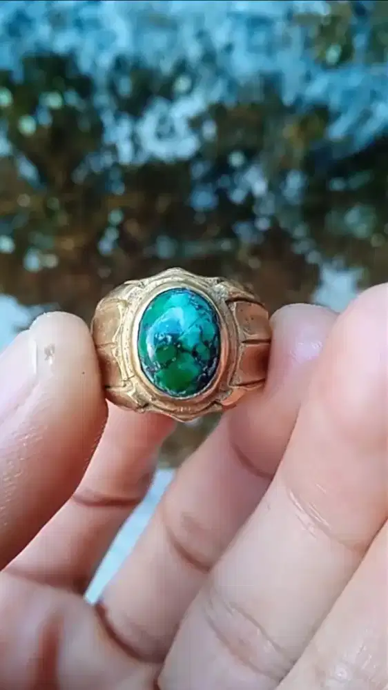 PIRUS PERSIA MINI
