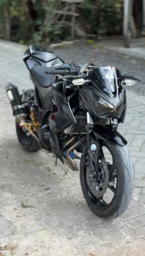 Kawasaki Z250 FI 2013