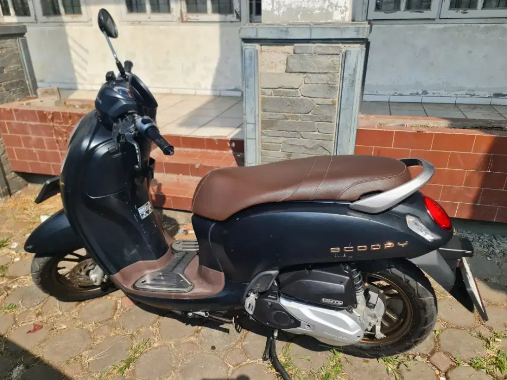 Scoopy Prestige 2024
