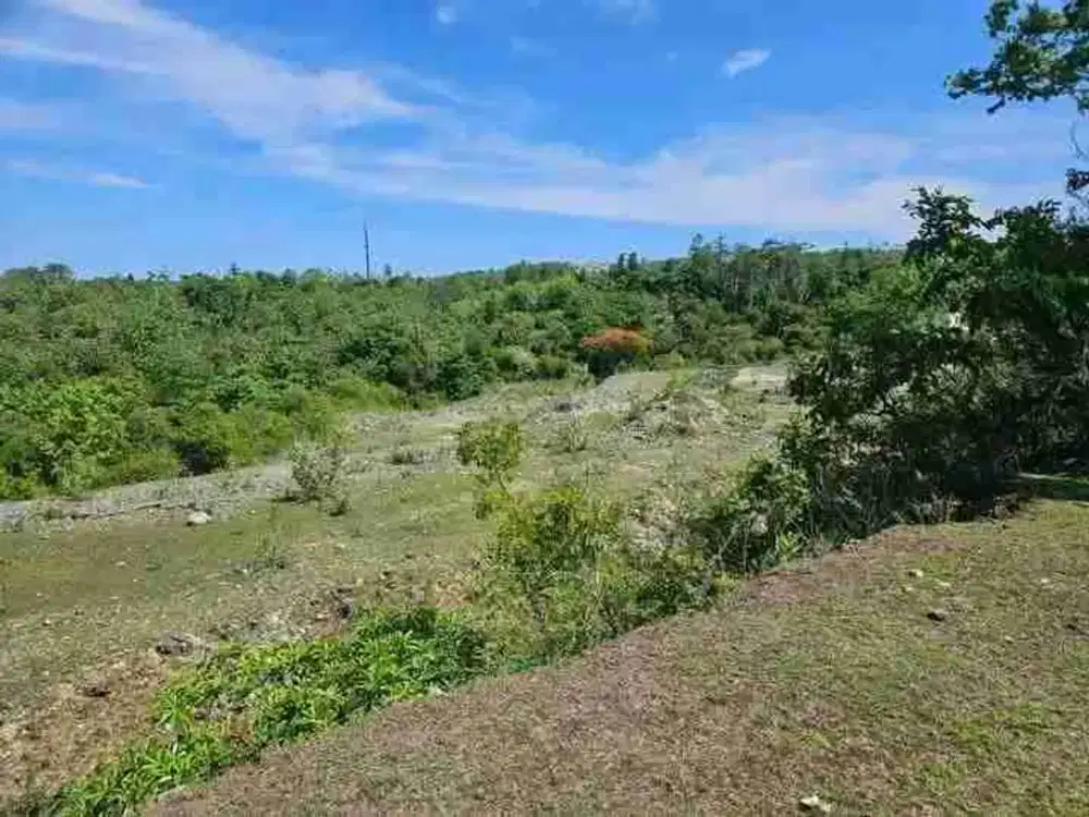 dijual tanah 20575m² IDR 550 juta per are ( 5,5 juta per m² ) Kawasan pantai Balangan Jimbaran Kuta Selatan Badung Bali